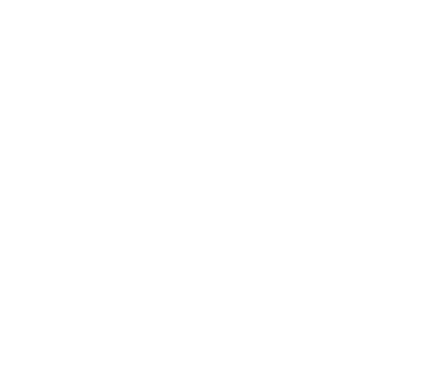 Xairo